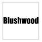 Blushwood